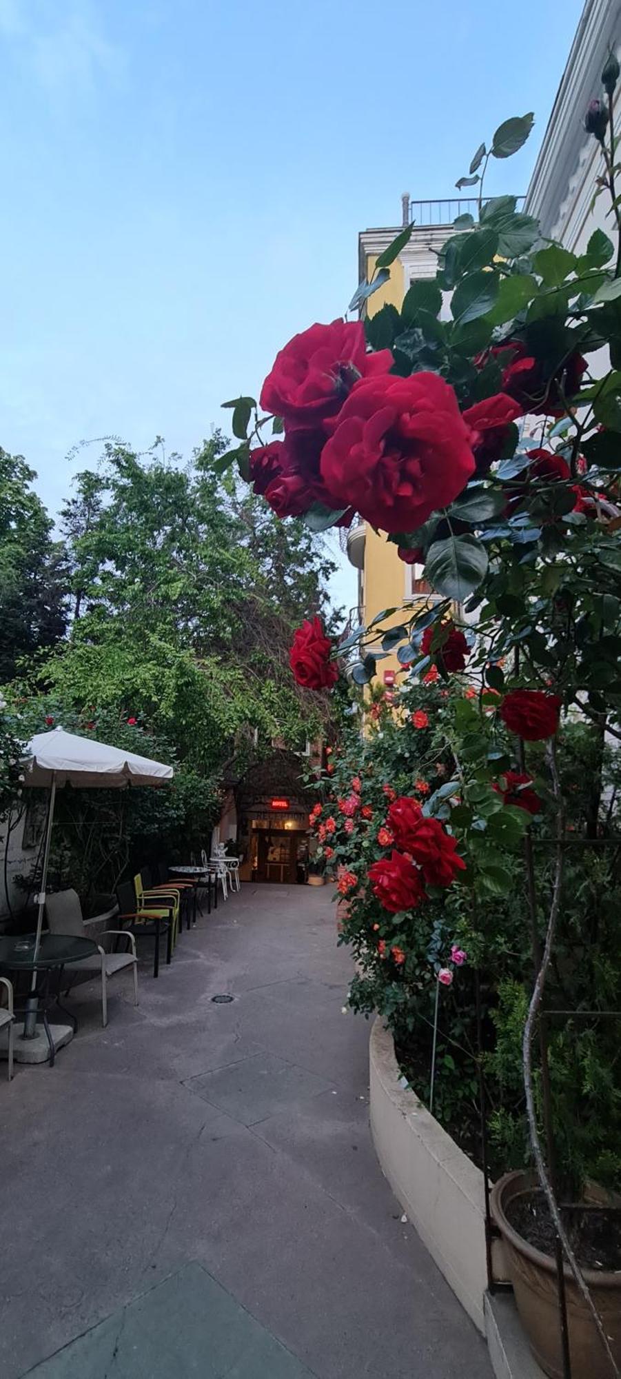 Hotel Casa Michelangelo à Bucarest Extérieur photo